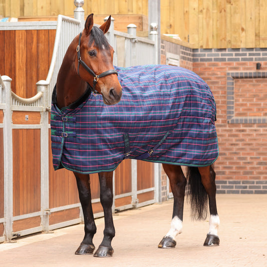 9369 - Shires Tempest Plus 100 Stable Rug