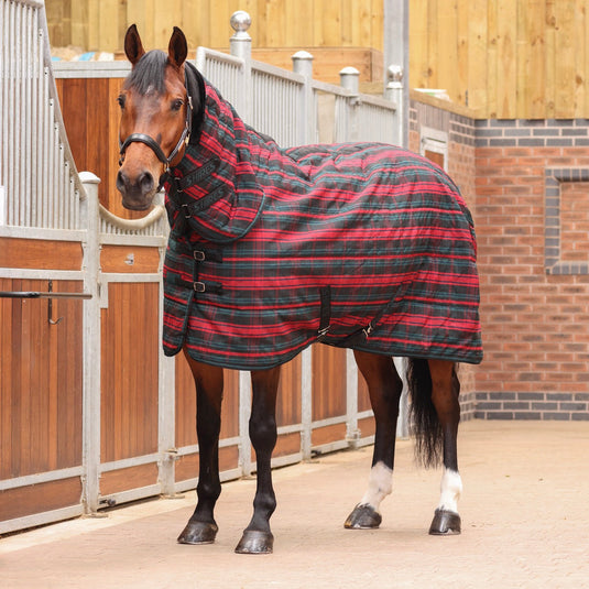9370C - Tempest Plus 200 Stable Combo Rug