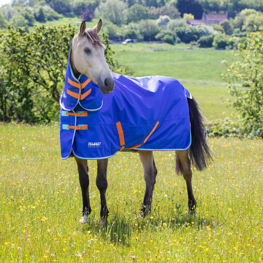 9373 - Shires Tempest Original 50 Combo Turnout Rug