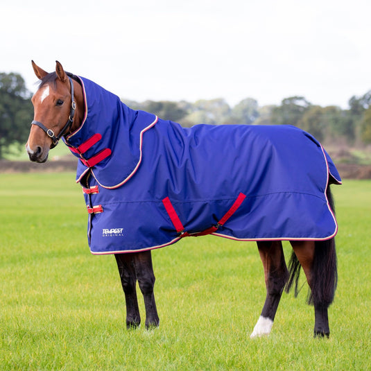 9374 - Tempest Original 100 Turnout Rug & Neck - Ashurst Equestrian & Country