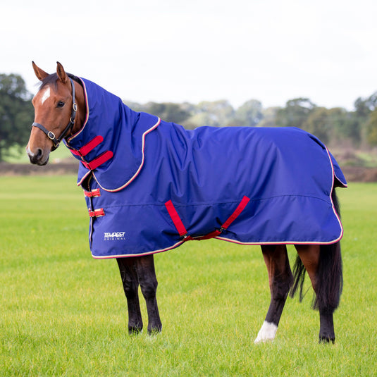 9374 - Tempest Original 100 Turnout Rug & Neck