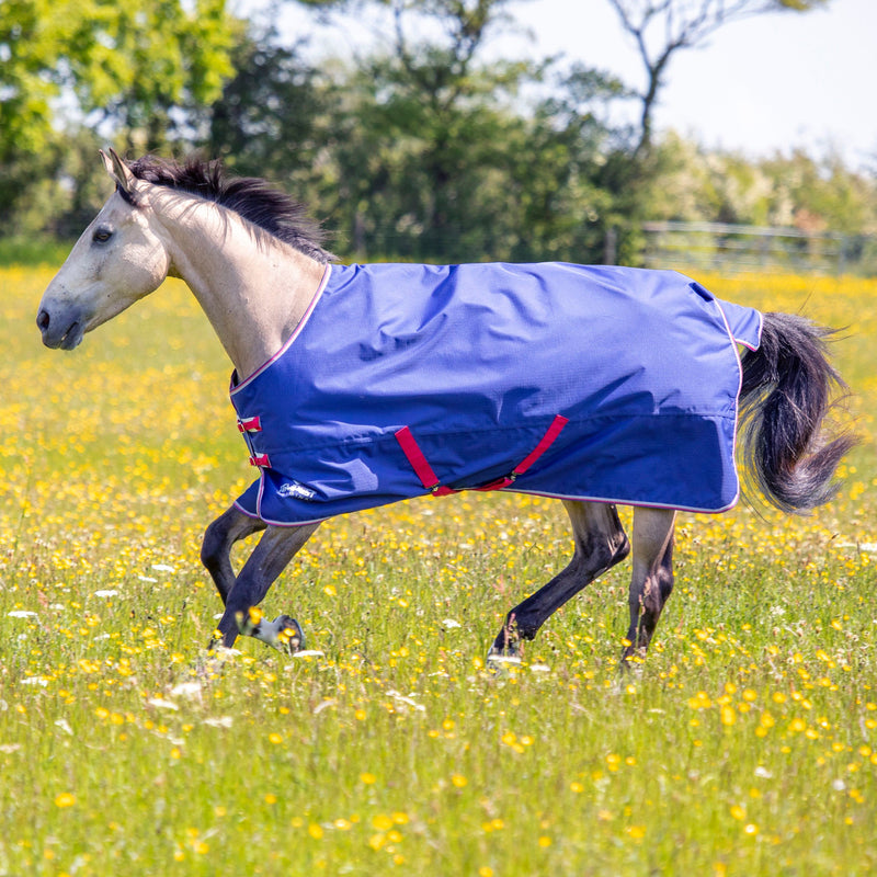 Load image into Gallery viewer, 9374 - Tempest Original 100 Turnout Rug &amp; Neck
