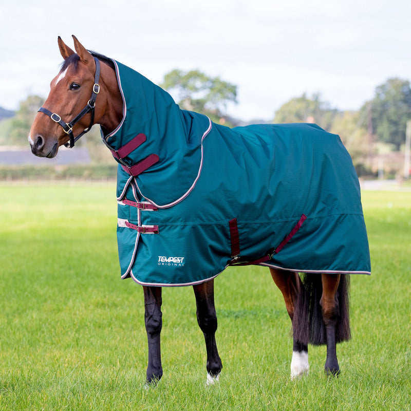 Load image into Gallery viewer, 9375 - Tempest Original 200 Turnout Rug &amp; Neck
