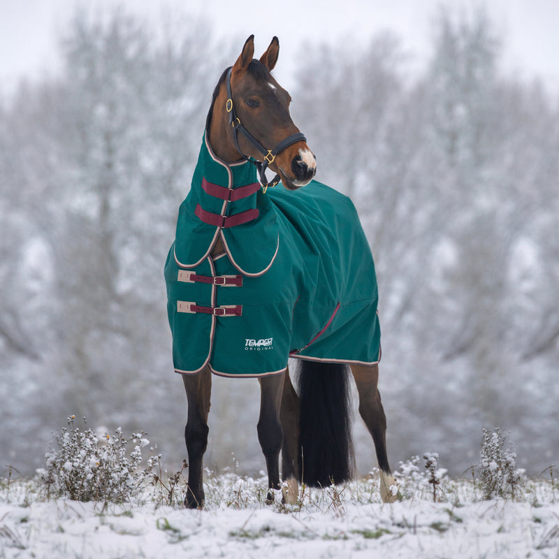 Load image into Gallery viewer, 9375 - Tempest Original 200 Turnout Rug &amp; Neck
