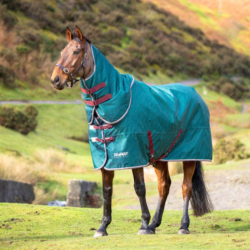 Load image into Gallery viewer, 9375 - Tempest Original 200 Turnout Rug &amp; Neck

