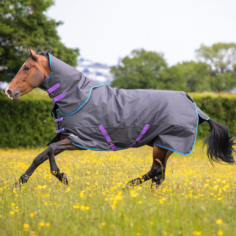 Load image into Gallery viewer, 9376 - Tempest Original 300 Turnout Rug &amp; Neck
