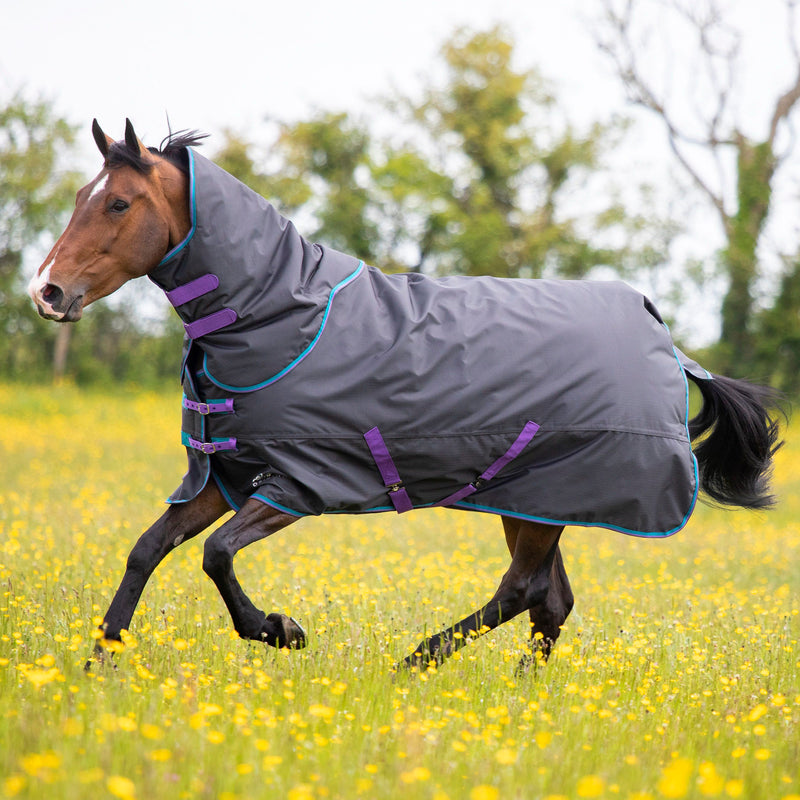 Load image into Gallery viewer, 9376 - Tempest Original 300 Turnout Rug &amp; Neck
