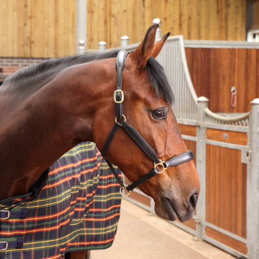 9377 - Shires Tempest Plus Lite Stable Rug - Ashurst Equestrian & Country