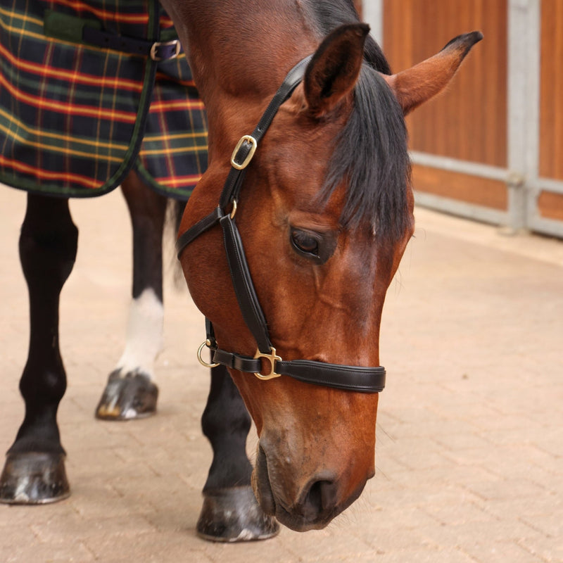 Load image into Gallery viewer, 9377 - Shires Tempest Plus Lite Stable Rug - Ashurst Equestrian &amp; Country
