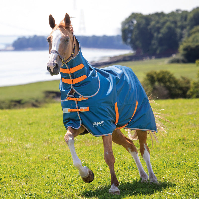 Load image into Gallery viewer, 9379 - Tempest Original Lite Turnout Rug &amp; Neck
