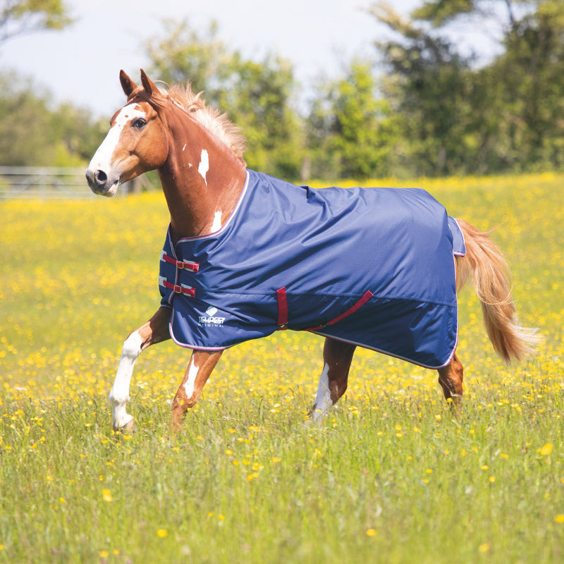 Load image into Gallery viewer, 9381 - Tempest Original Air Motion Turnout Rug
