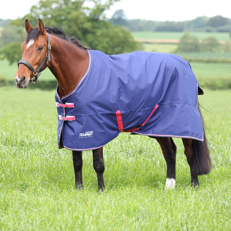 Load image into Gallery viewer, 9381 - Tempest Original Air Motion Turnout Rug
