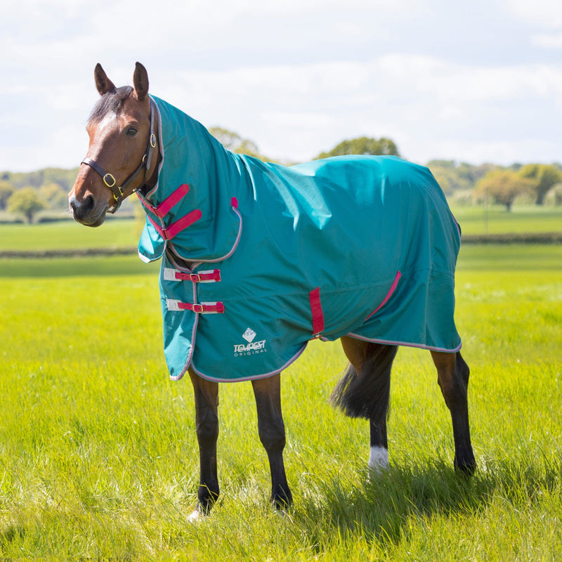 Load image into Gallery viewer, Tempest Original Air Motion Combo Rug

