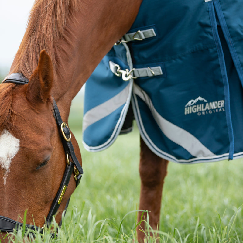 Load image into Gallery viewer, 9387 - Shires Highlander Original 50 Combo Turnout Rug
