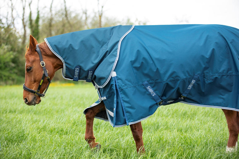 Load image into Gallery viewer, 9394 - Shires Highlander Original 50 Turnout Rug &amp; Neck Set
