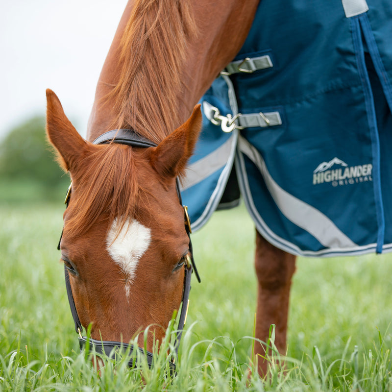Load image into Gallery viewer, 9394 - Shires Highlander Original 50 Turnout Rug &amp; Neck Set

