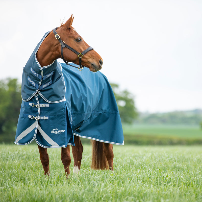 Load image into Gallery viewer, 9394 - Shires Highlander Original 50 Turnout Rug &amp; Neck Set
