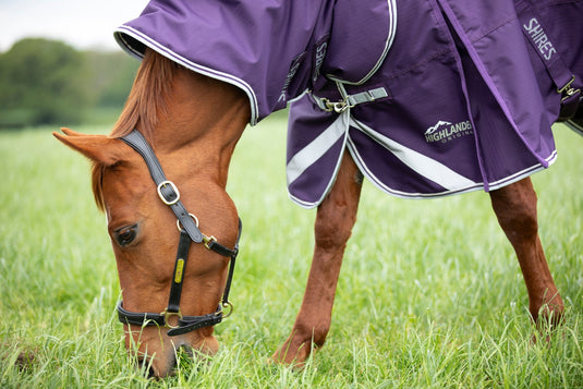 9339 - Shires Highlander Original 100 Turnout Rug & Neck Set