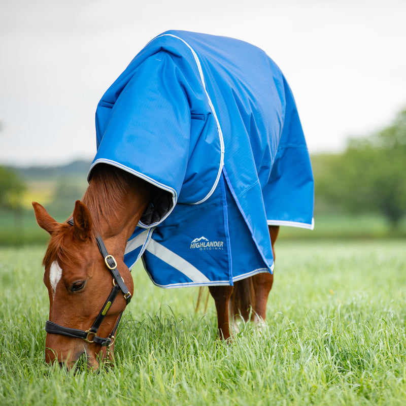 Load image into Gallery viewer, 9396 - Shires Highlander Original 200 Turnout Rug &amp; Neck Set

