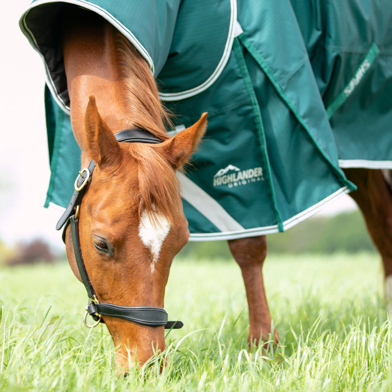 Load image into Gallery viewer, 9397 - Shires Highlander Original 300 Turnout Rug &amp; Neck Set
