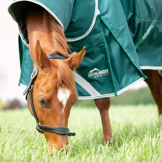 9397 - Shires Highlander Original 300 Turnout Rug & Neck Set