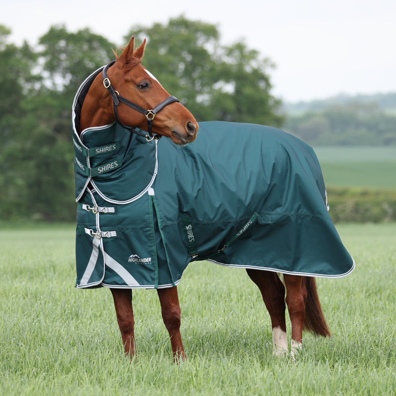 Load image into Gallery viewer, 9397 - Shires Highlander Original 300 Turnout Rug &amp; Neck Set
