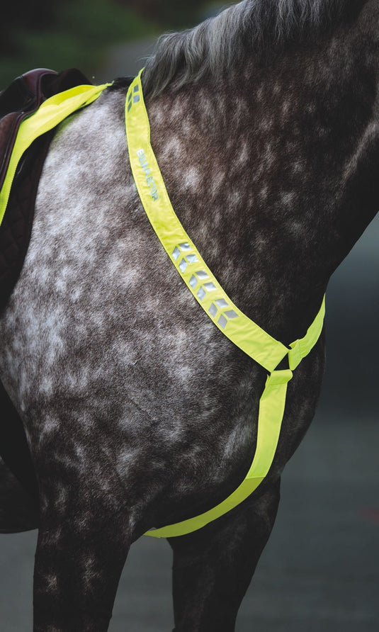 EQUI-FLECTOR® Breastplate