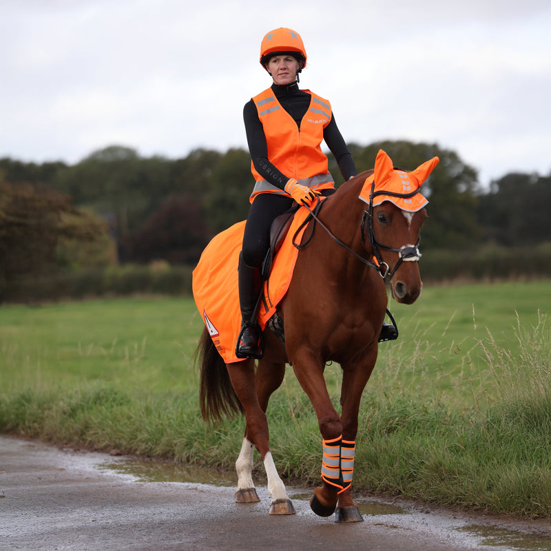 Load image into Gallery viewer, 9408 - EQUI-FLECTOR® Mesh Exercise Sheet
