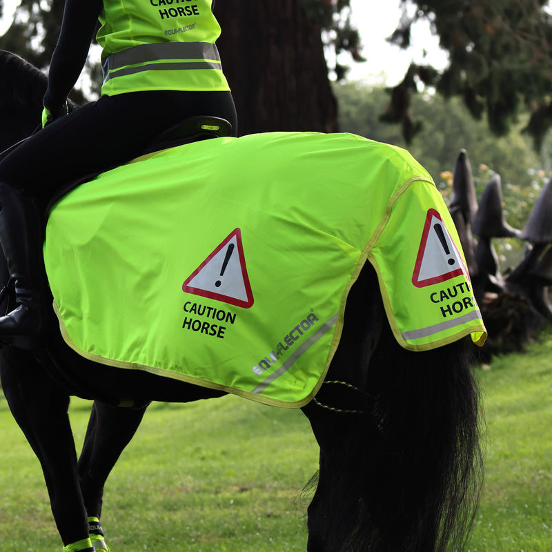 Load image into Gallery viewer, 9408 - EQUI-FLECTOR® Mesh Exercise Sheet
