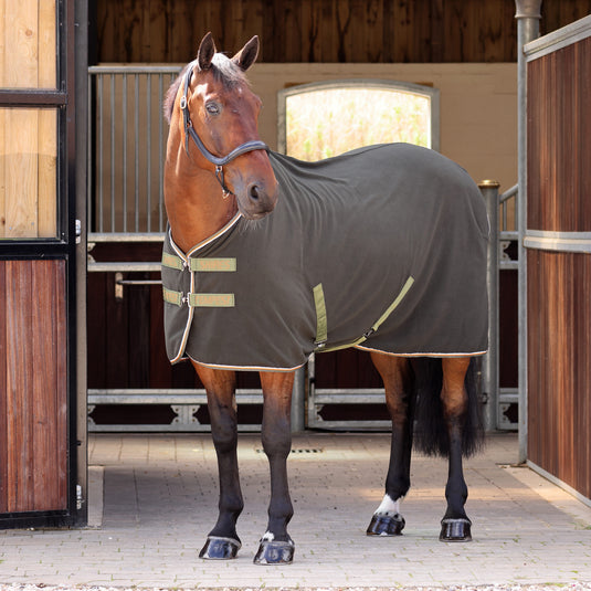 9450 - Shires Tempest Original Fleece Rug
