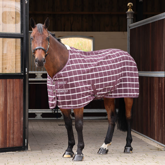 9454 - Shires Tempest Original Stable Sheet
