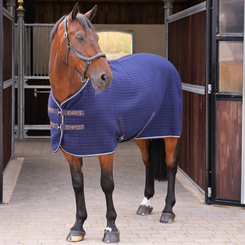 Load image into Gallery viewer, 9456 - Shires Tempest Original Tech Cooler Rug
