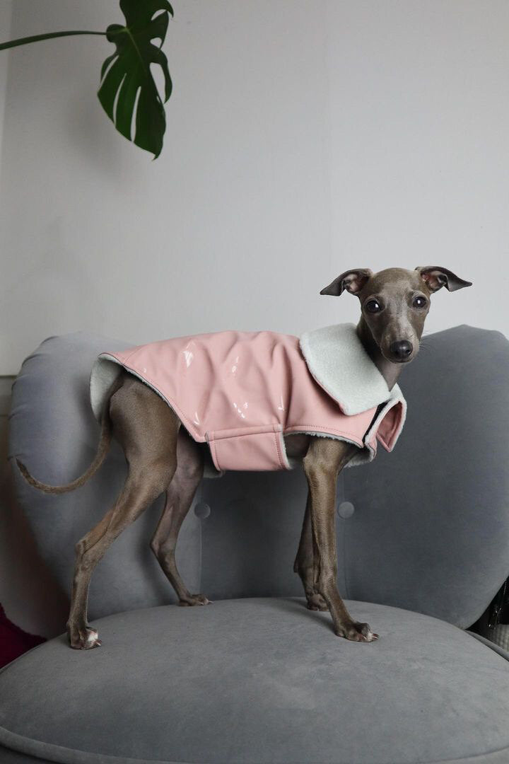 Load image into Gallery viewer, Rain Mac - Blush Pink Submarines
