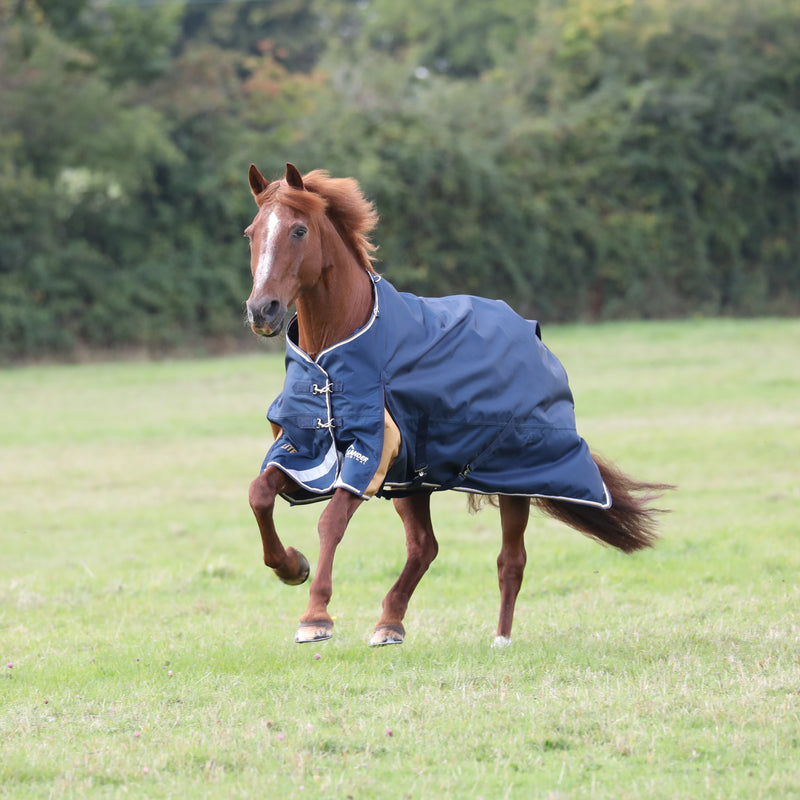 Load image into Gallery viewer, 9751 - Shires Highlander Plus Lite Turnout Rug
