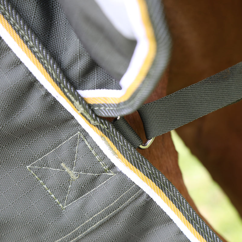 Load image into Gallery viewer, 9755 - Shires Highlander Plus 50 Turnout Rug
