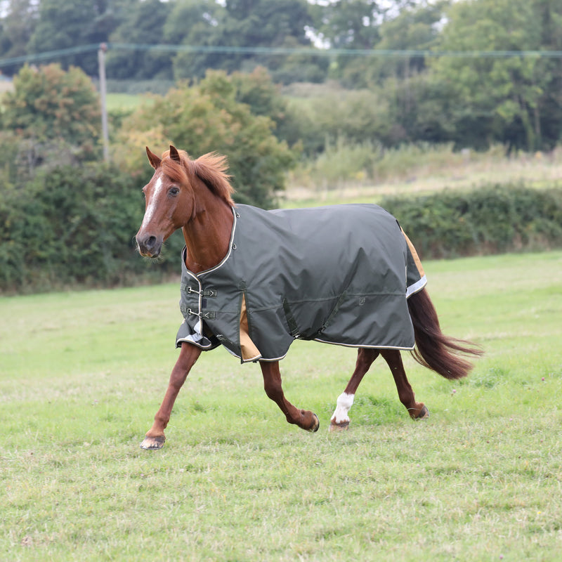 Load image into Gallery viewer, 9755 - Shires Highlander Plus 50 Turnout Rug
