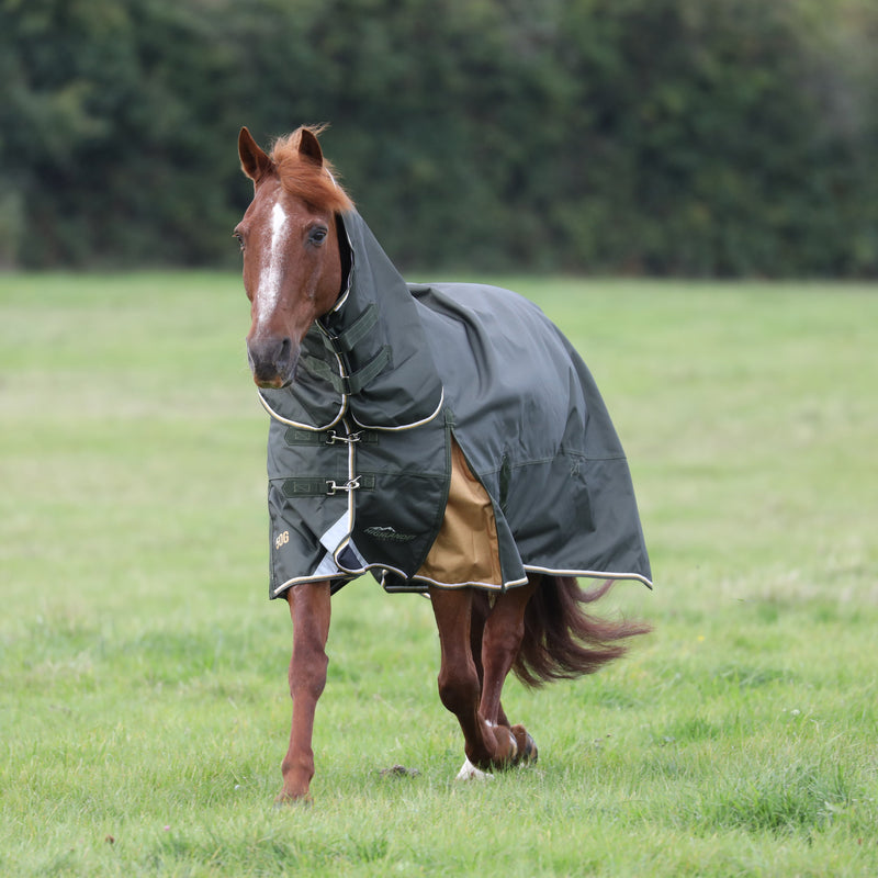 Load image into Gallery viewer, 9757 - Shires Highlander Plus 50 Combo Turnout Rug
