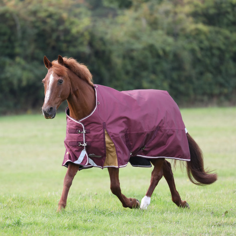 Load image into Gallery viewer, 9759 - Shires Highlander Plus 100 Turnout Rug
