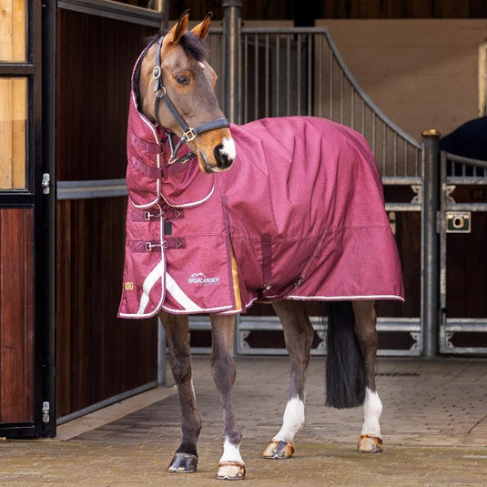 9761 - Shires Highlander Plus 100 Combo Turnout Rug