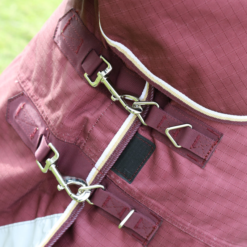 Load image into Gallery viewer, 9761 - Shires Highlander Plus 100 Combo Turnout Rug
