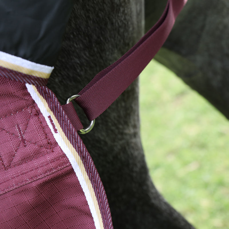 Load image into Gallery viewer, 9761 - Shires Highlander Plus 100 Combo Turnout Rug
