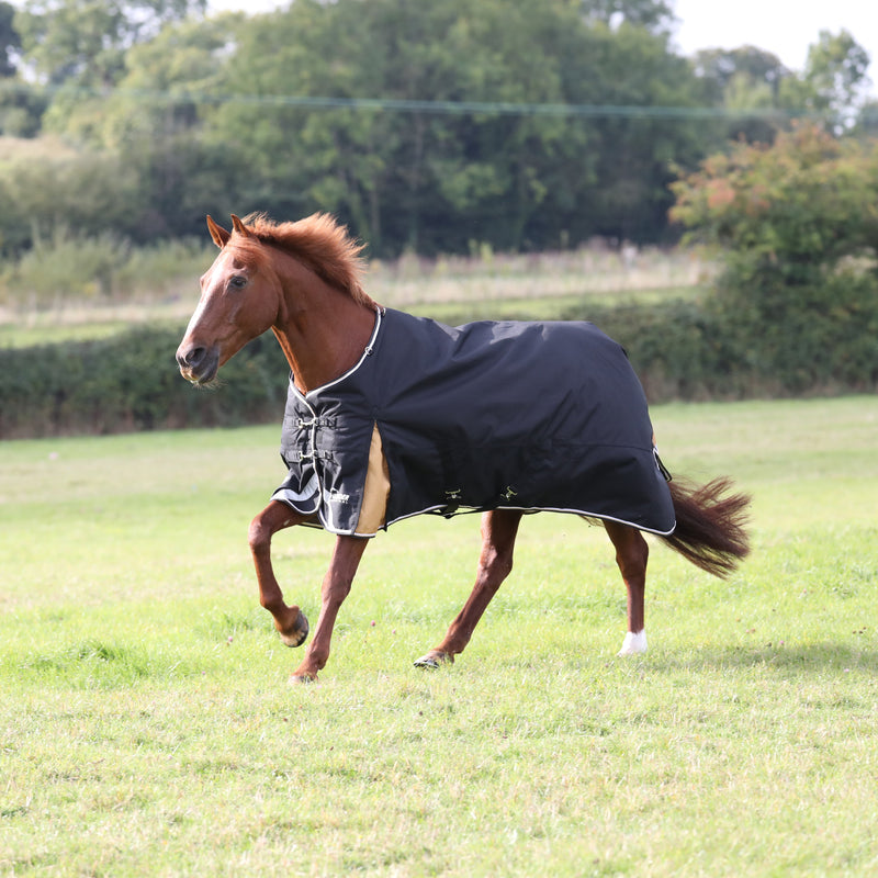 Load image into Gallery viewer, 9763 - Shires Highlander Plus 200 Turnout Rug
