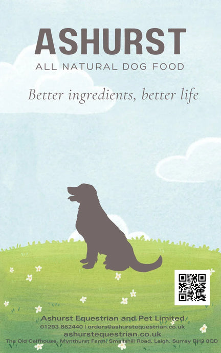 ASHURST TREAT CHICKEN BITES 150g