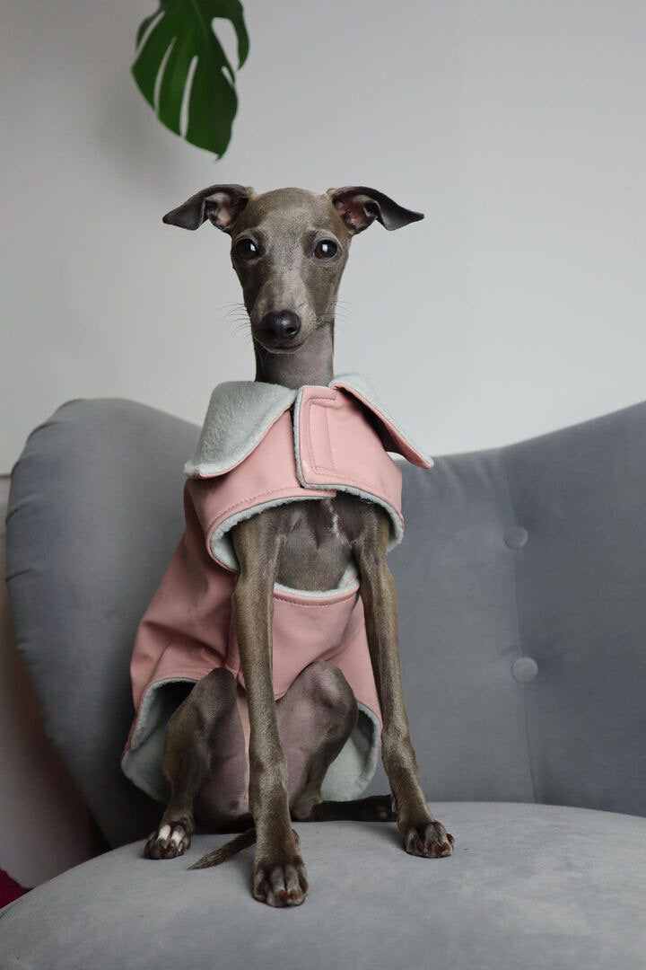 Load image into Gallery viewer, Rain Mac - Blush Pink Submarines
