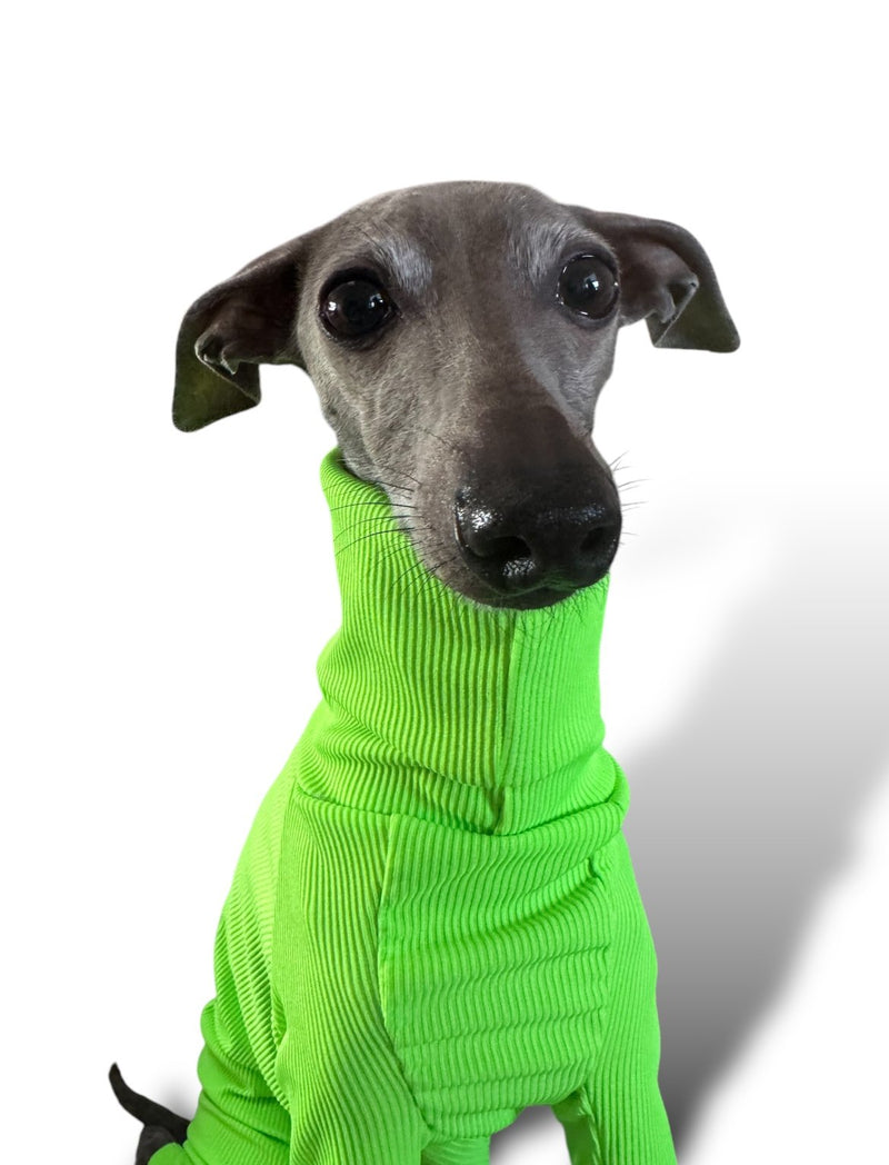 Load image into Gallery viewer, Ribbed Jersey - Hi-Visibility Yellow
