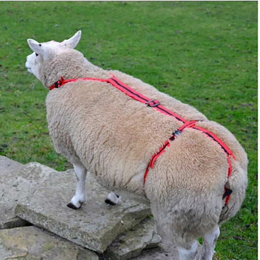 Agrimark Prolapse Harness Red With Black Stripe