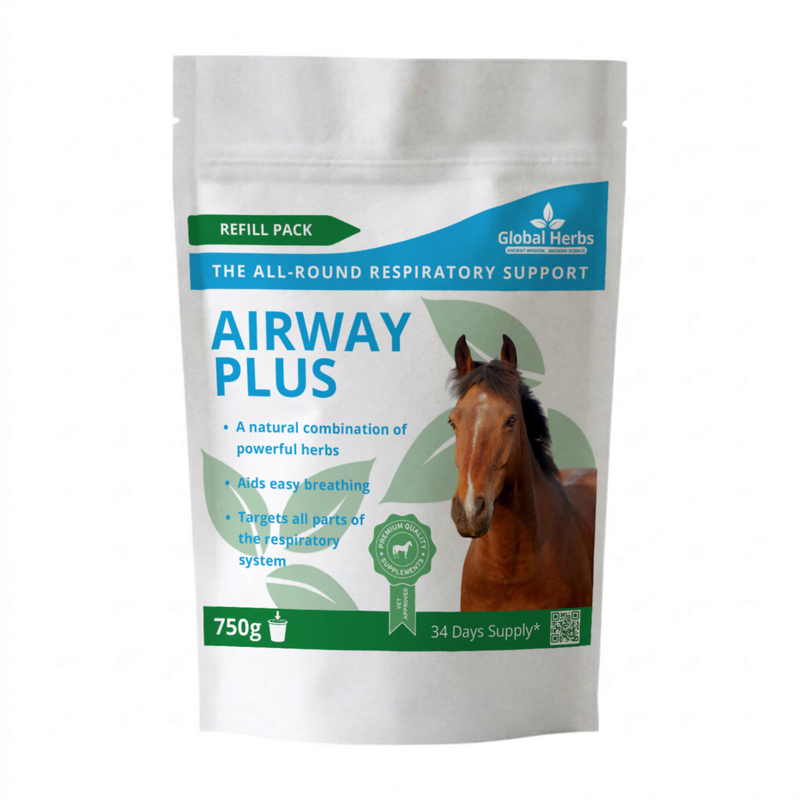 Load image into Gallery viewer, Airway Plus Powder Refill Pouch 750g - Global Herbs
