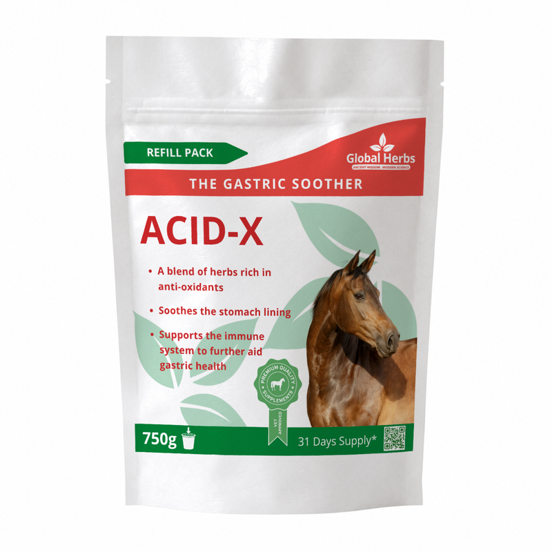Load image into Gallery viewer, Acid-X Refill Pouch 750g - Global Herbs
