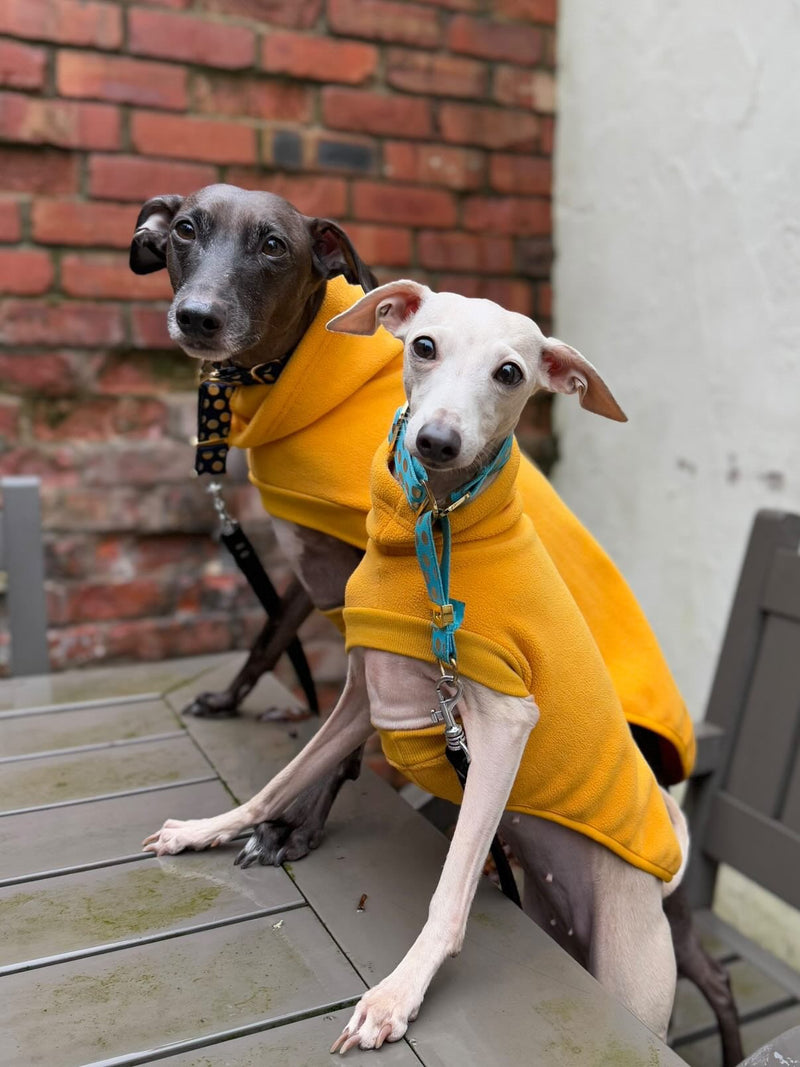 Load image into Gallery viewer, Open-Leg Fleece Vest - Yellow
