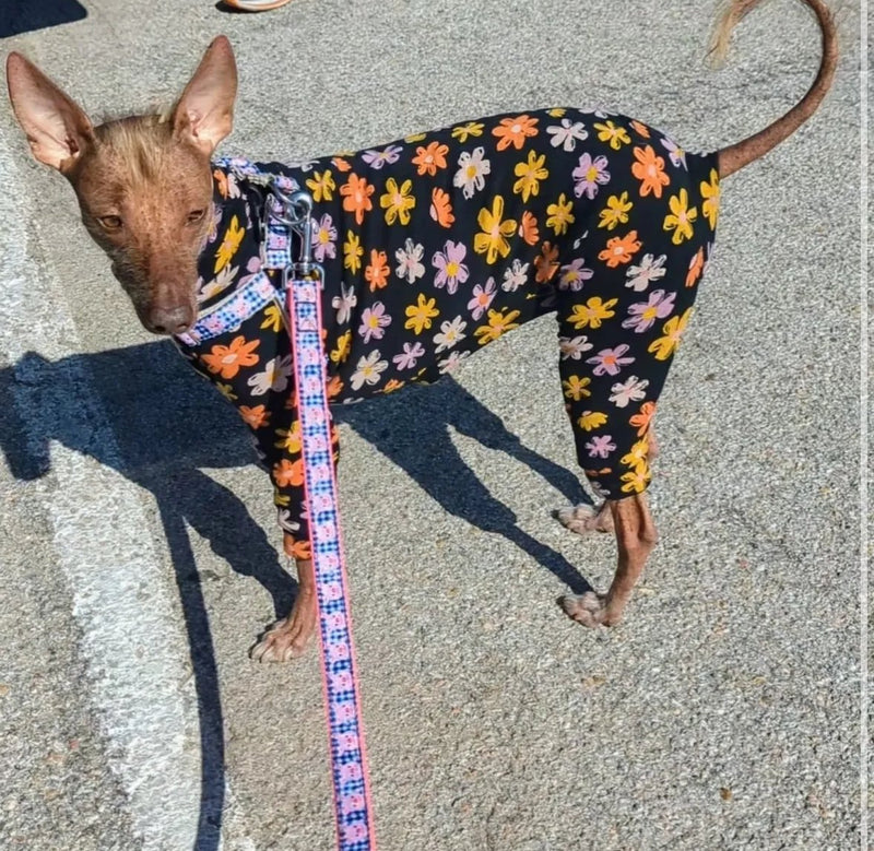 Load image into Gallery viewer, Fleece Lined Sweatshirt - Flower Power
